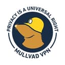 Favicon of Mullvad VPN