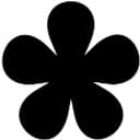 Favicon of Nanelo DNS