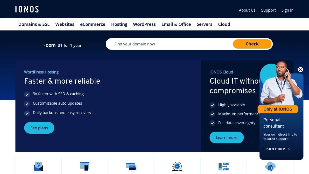 Screenshot der Website von IONOS