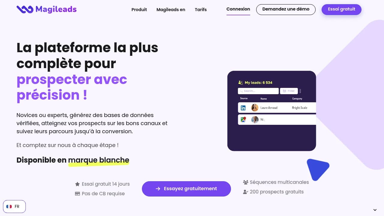 Screenshot of Magileads website